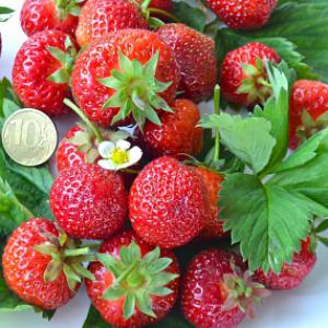 Клубника со вкусными ягодами