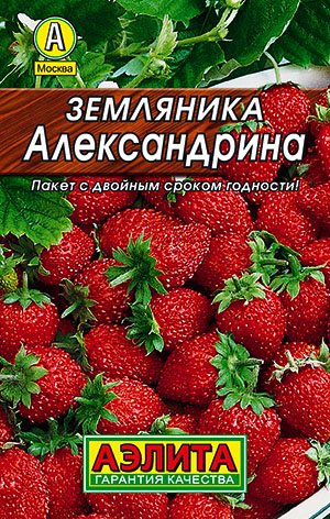Земляника Александрина