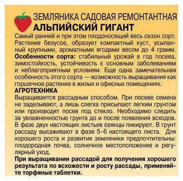 Земляника Альпийский гигант