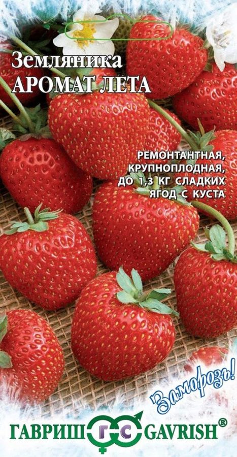 Клубника Аромат лета