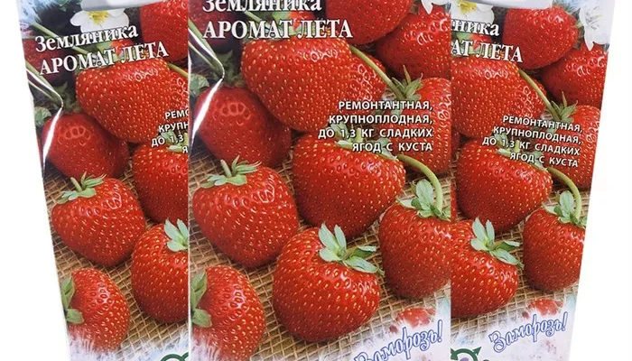 Клубника Аромат лета