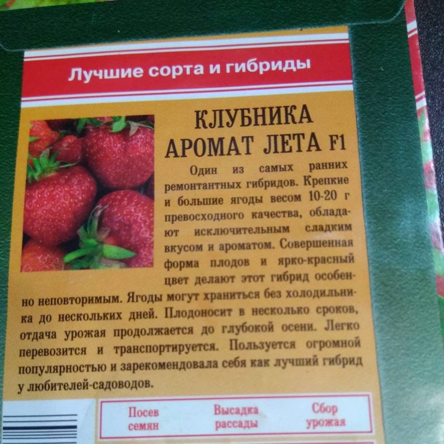 Клубника Аромат лета