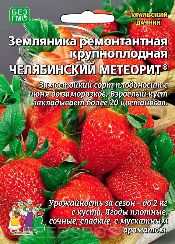 Земляника Челябинский метеорит