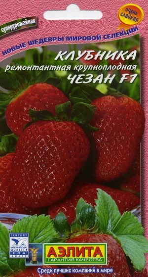 Клубника Чезан