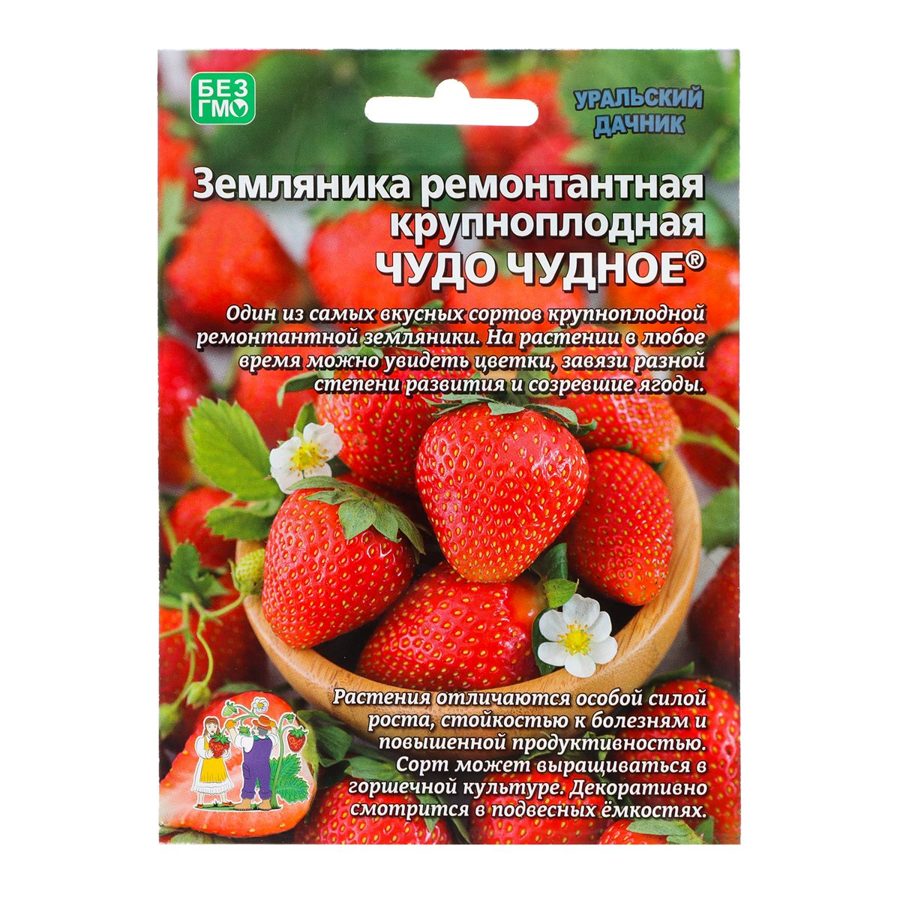 Земляника Чудо Чудное
