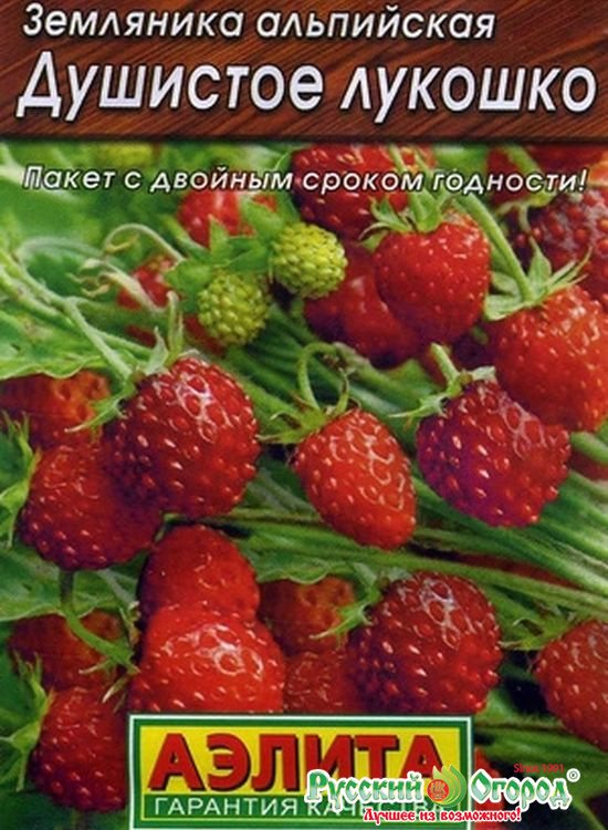 Земляника Душистое лукошко