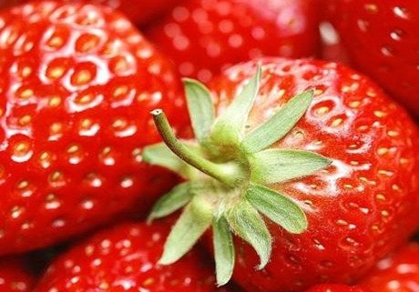 Клубника Киевская ранняя