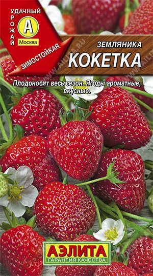 Земляника Кокетка