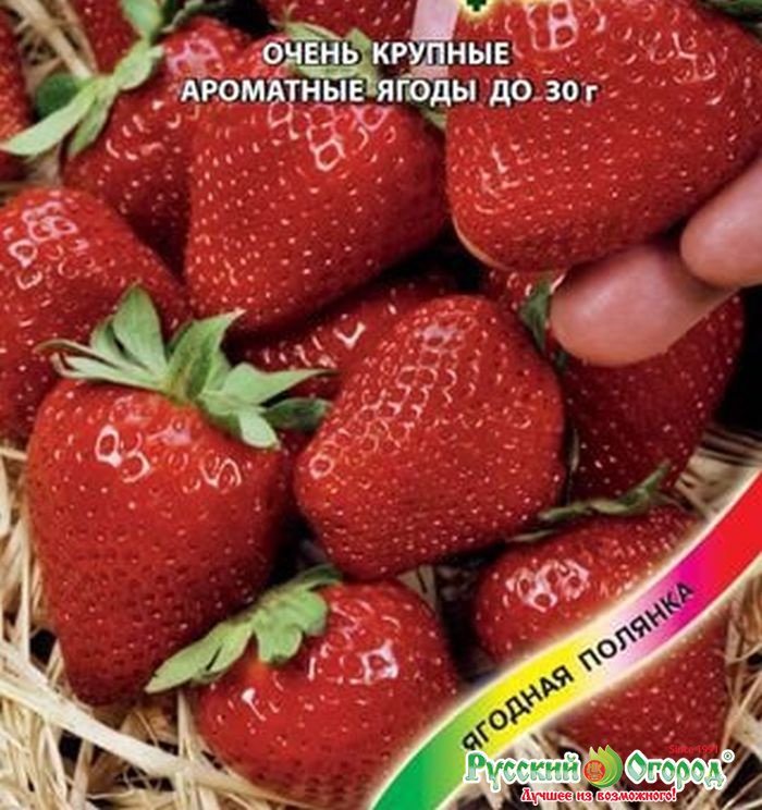 Земляника Красная варежка