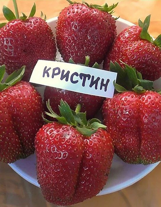 Клубника Кристина