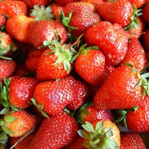 Клубника Мария