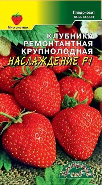 Клубника Наслаждение