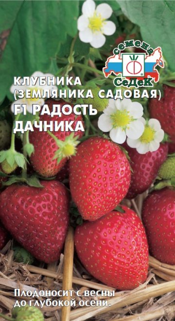 Земляника Радость Дачника F1