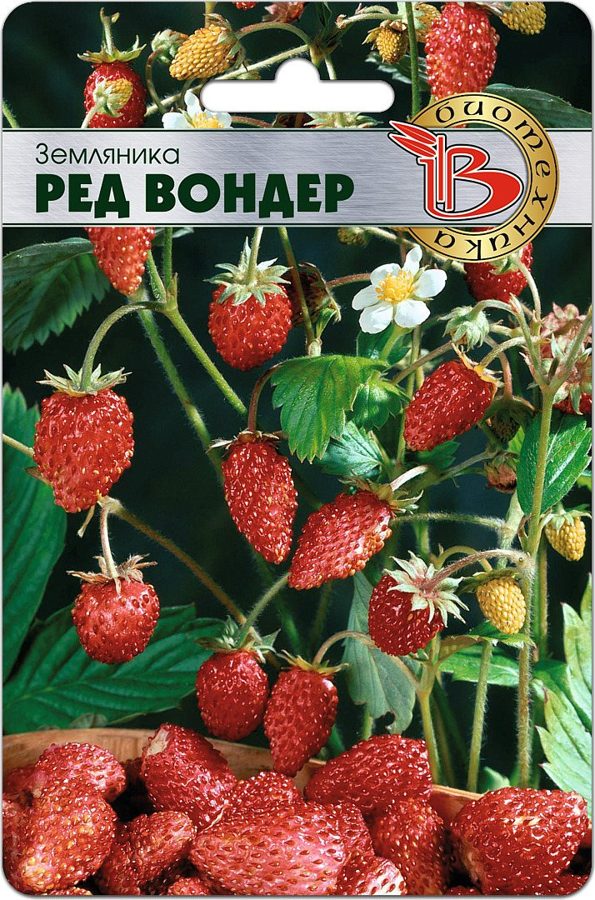 Земляника Ред Вондер F1