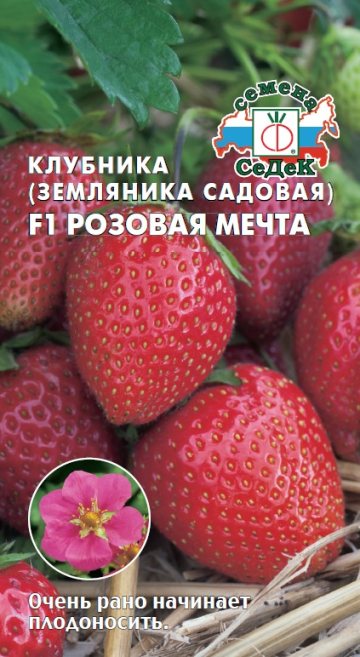 Земляника Розовая мечта F1