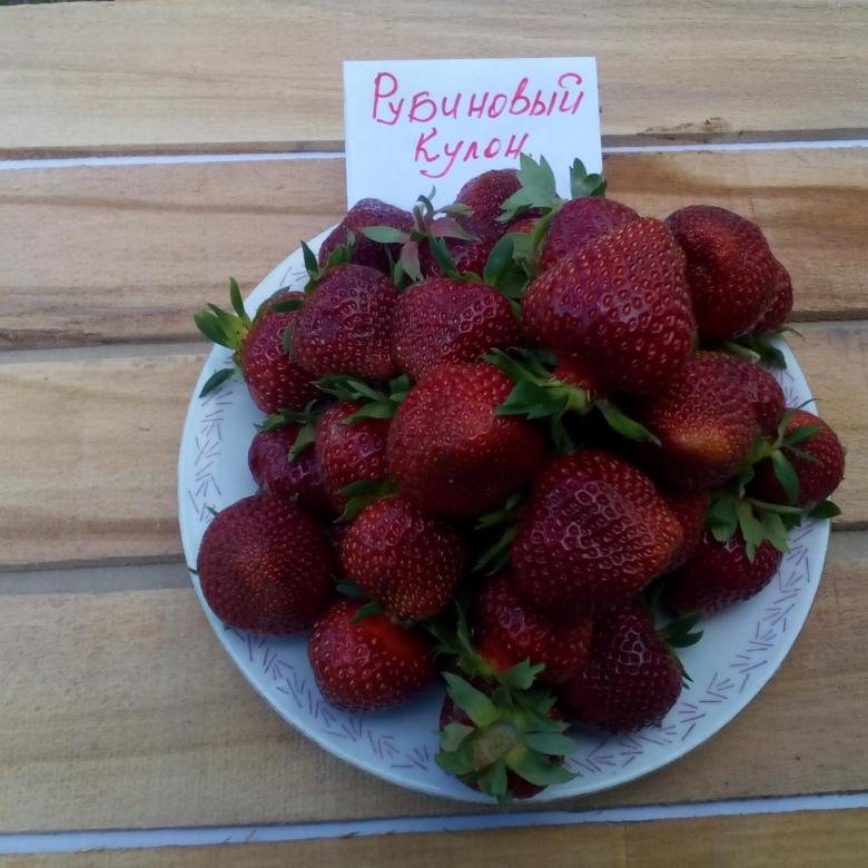 Клубника Рубиновый Кулон