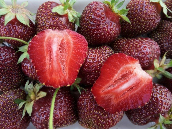 Клубника Рубиновый Кулон