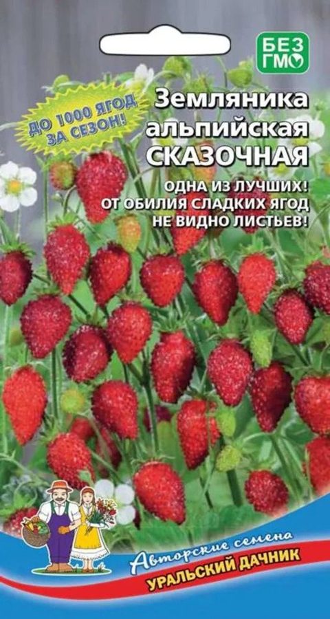 Земляника Сказочная