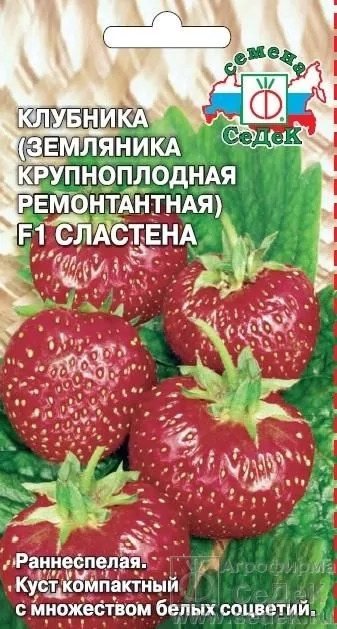 Земляника Сластёна F1