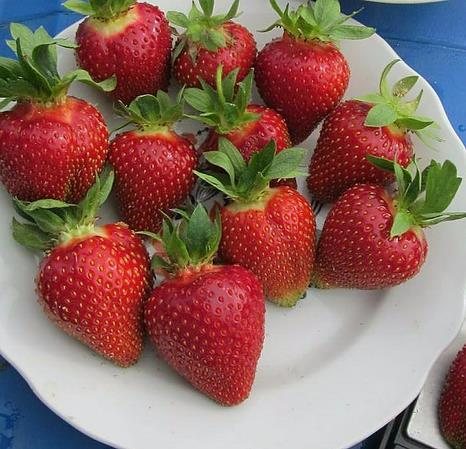 Клубника Свитхарт