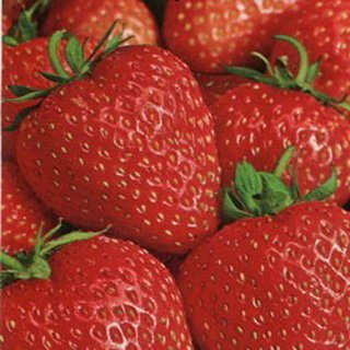 Земляника Вкус детства