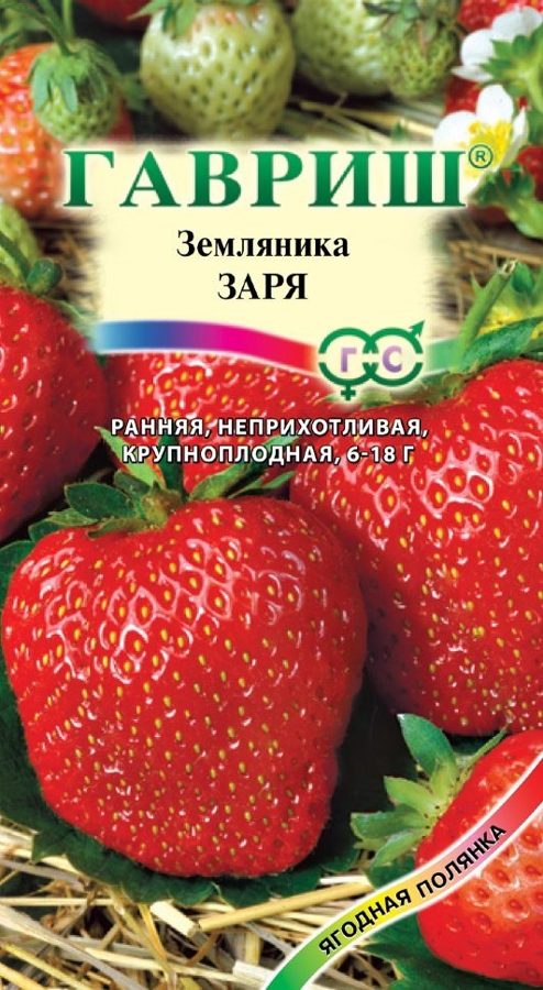 Земляника Заря