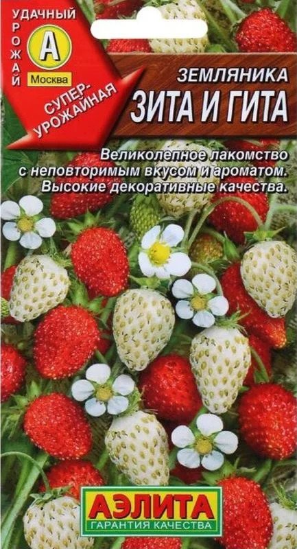 Земляника Зита и Гита