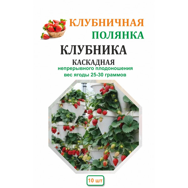 Земляника Каскадная (вид 3)