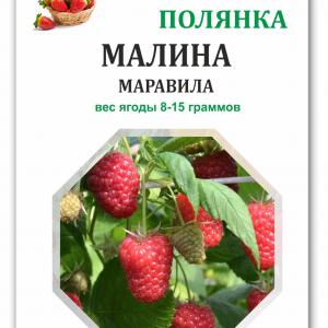 Малина Марвила (вид 2)