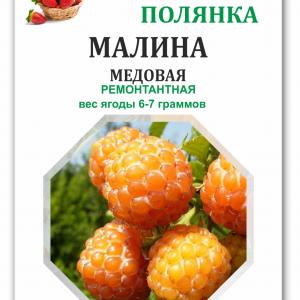 Малина Медовая (вид 3)