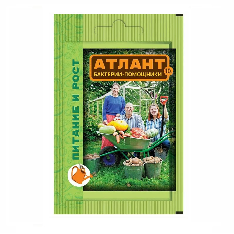 Атлант питание и рост