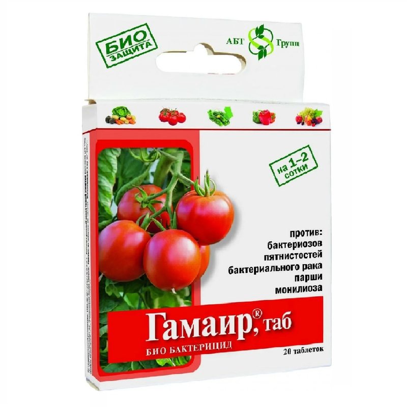 Гамаир таб