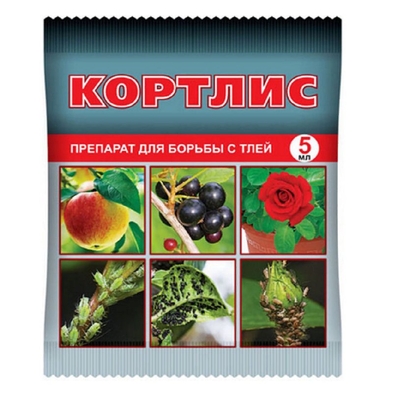 Кортлис