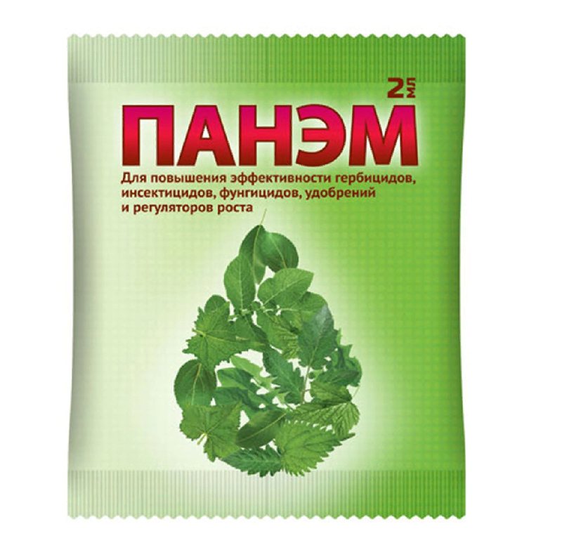 Панэм