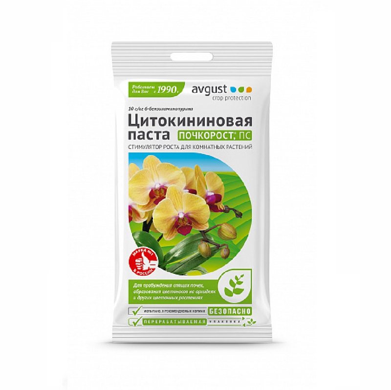 Почкорост