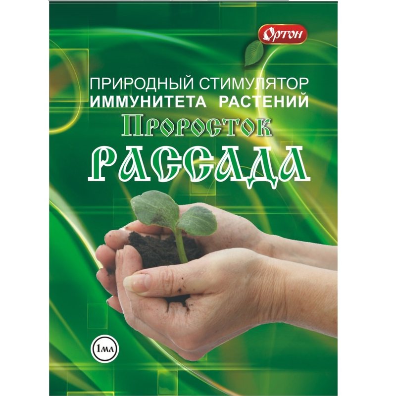 Проросток Рассада