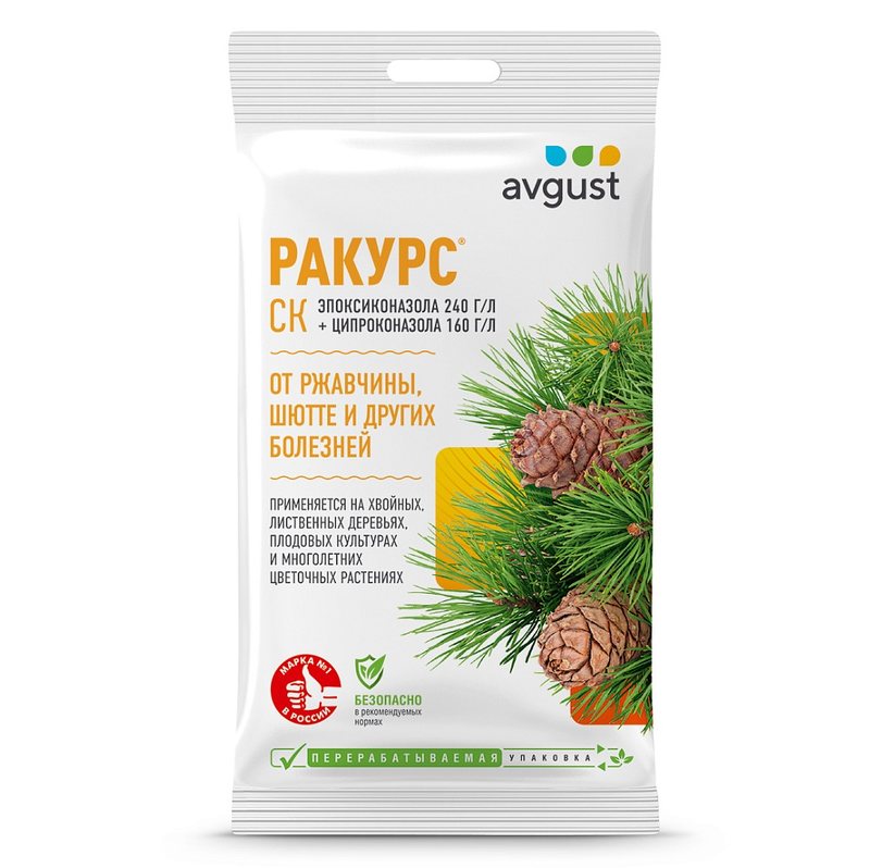 Ракурс