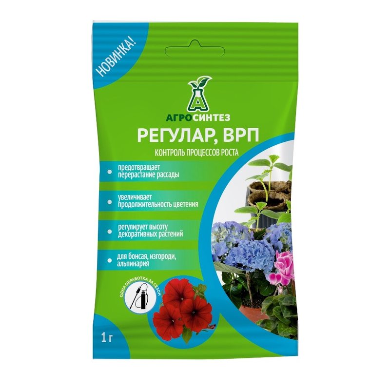 Регулар