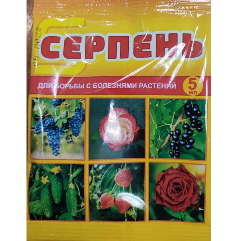 Серпень