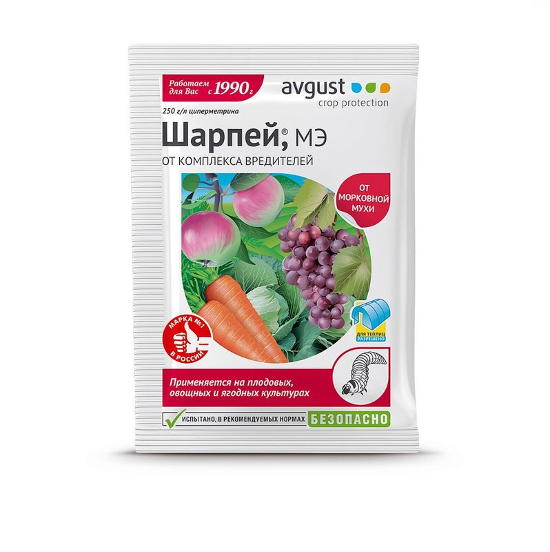 Шарпей 50