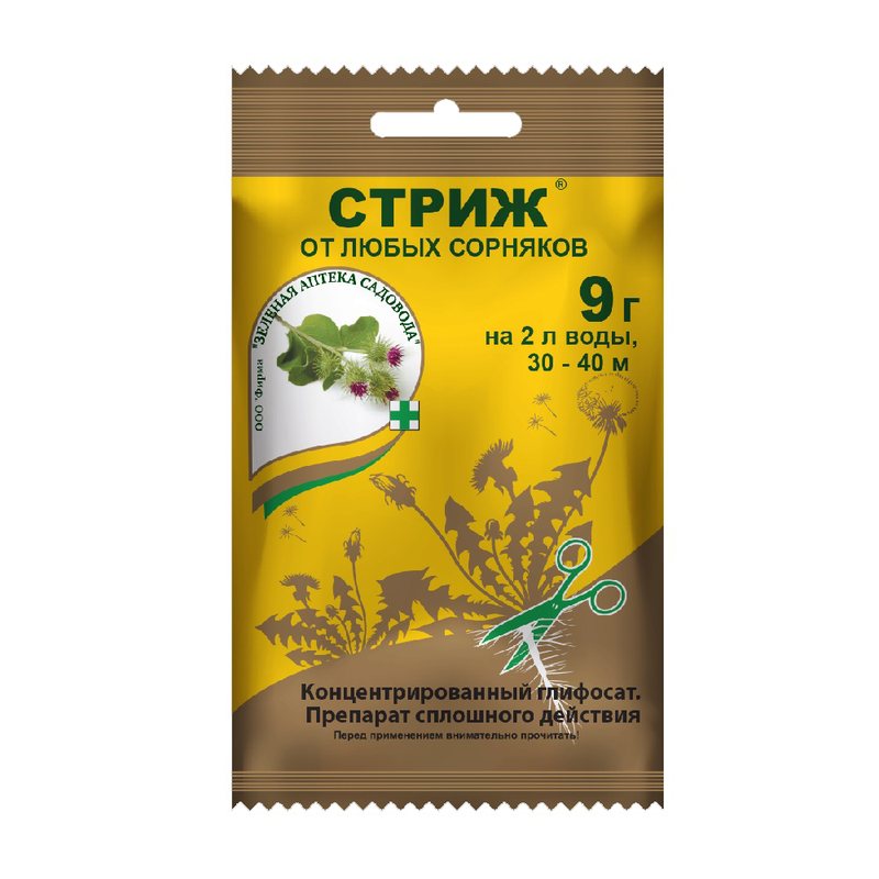 Стриж