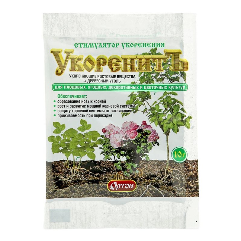 Укоренить