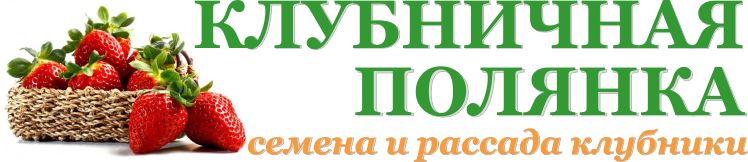 Клубничная Полянка — журнал о клубнике